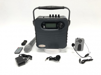 M-336B TerraSound комбик на аккумуляторе с микрофонами