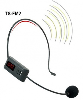 tsfm2